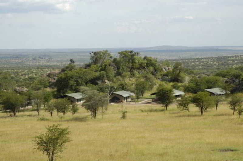 Mbuzi Mawe Serena Camp เซเรงเกติ ภายนอก รูปภาพ